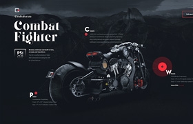 網(wǎng)站制作之Confederate-P51-Combat-Fighter