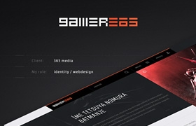 網(wǎng)站設(shè)計之Gamer365 Elastic Framework