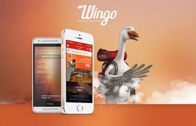 網(wǎng)站設(shè)計(jì)之土耳其航空公司