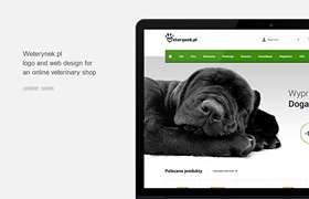 網(wǎng)站設(shè)計(jì)之在線獸藥網(wǎng)店網(wǎng)站欣賞