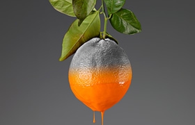 網(wǎng)站設(shè)計(jì)之Colors多彩自然創(chuàng)意廣告